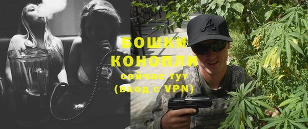 дживик Снежинск