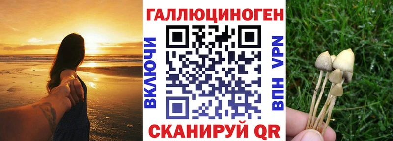 Галлюциногенные грибы мицелий  наркота  Давлеканово 