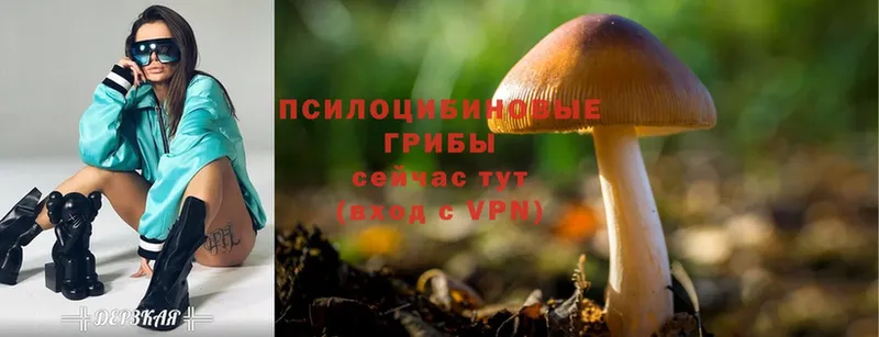 Псилоцибиновые грибы MAGIC MUSHROOMS  Давлеканово 